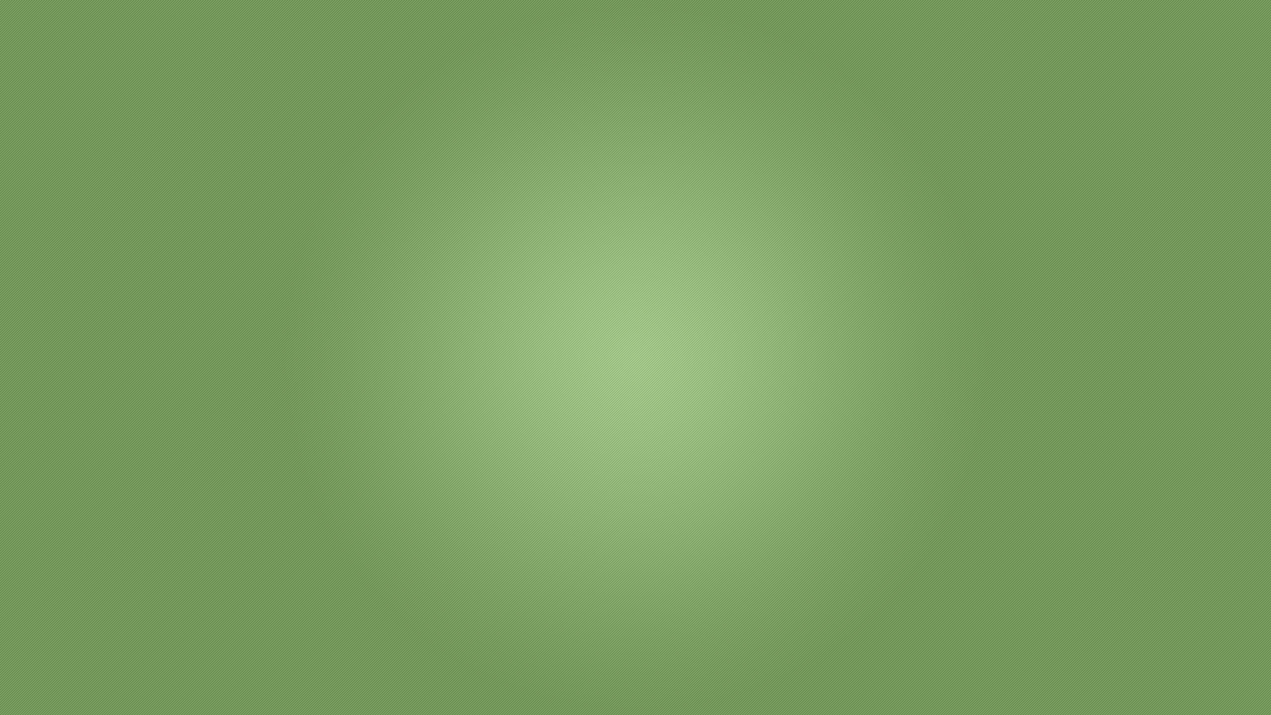 Banner Image 4